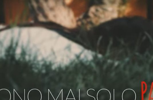 ASL Roma1, ISS e Sapienza insieme per formare insegnanti e docenti nel contrasto al cyberbullismo