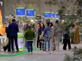 SOL Expo, torna a Veronafiere il salone dell’olio e dell’olivo made in Italy