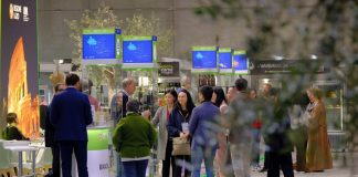 SOL Expo, torna a Veronafiere il salone dell’olio e dell’olivo made in Italy