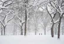 Tempesta di neve nel Nord Est degli Stati Uniti, New York paralizzata