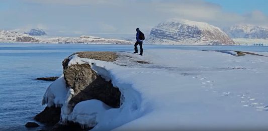 Al via la settimana nazionale per le Stem, dedica speciale alla ricerca artica