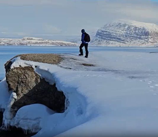 Al via la settimana nazionale per le Stem, dedica speciale alla ricerca artica