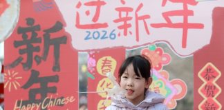 Cina: in corso fiere ed eventi in preparazione alla Festa di primavera (2)