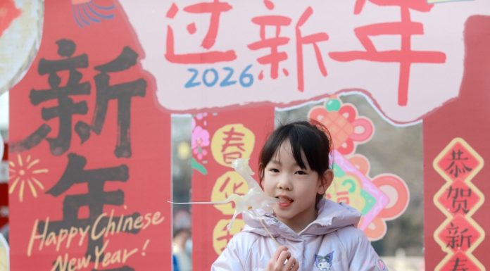 Cina: in corso fiere ed eventi in preparazione alla Festa di primavera (2)