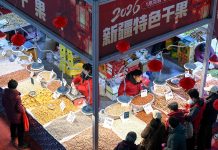 Cina: in corso fiere ed eventi in preparazione alla Festa di primavera (3)