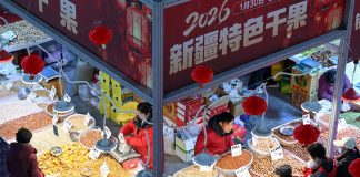Cina: in corso fiere ed eventi in preparazione alla Festa di primavera (3)