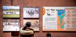 Cina: Hohhot ospita mostra a tema equestre per Anno del Cavallo (1)