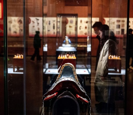 Cina: Hohhot ospita mostra a tema equestre per Anno del Cavallo (2)