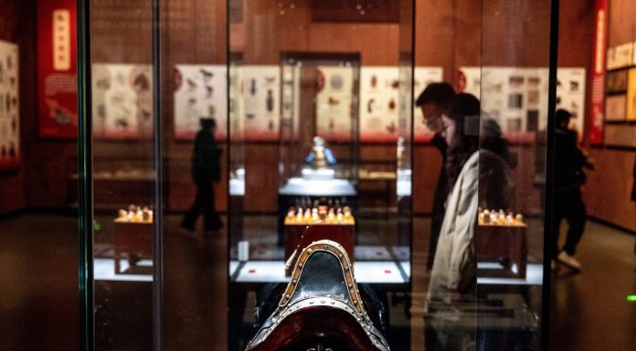 Cina: Hohhot ospita mostra a tema equestre per Anno del Cavallo (2)