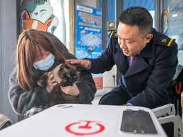 Cina: attivo servizio di trasporto animali domestici su treni ad alta velocità (1)