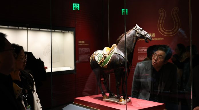 Cina: a Shanghai inaugurata una mostra sull’Anno del Cavallo (1)