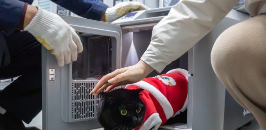 Cina: potenziato trasporto ferroviario di animali domestici in occasione della Festa di primavera