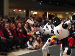 ONU: gala per il Capodanno cinese nella sede di New York (2)