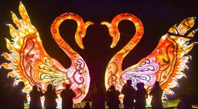 Cina: lanterne decorative in tutto il Paese per la Festa di primavera (1)