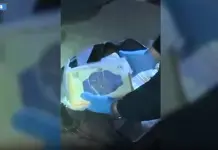 Maxi sequestro di droga a Catania, intercettati oltre 90kg di cocaina