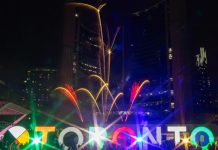 Canada: a Toronto si festeggia il Capodanno cinese (2)