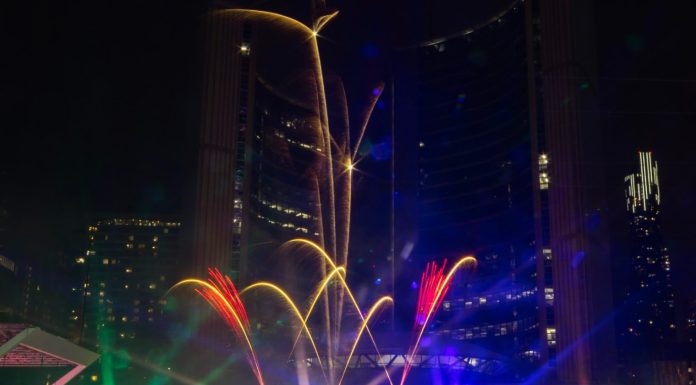 Canada: a Toronto si festeggia il Capodanno cinese (2)