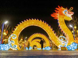 Cina: in corso festeggiamenti per l’imminente Festa di primavera (3)