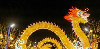 Cina: in corso festeggiamenti per l’imminente Festa di primavera (3)