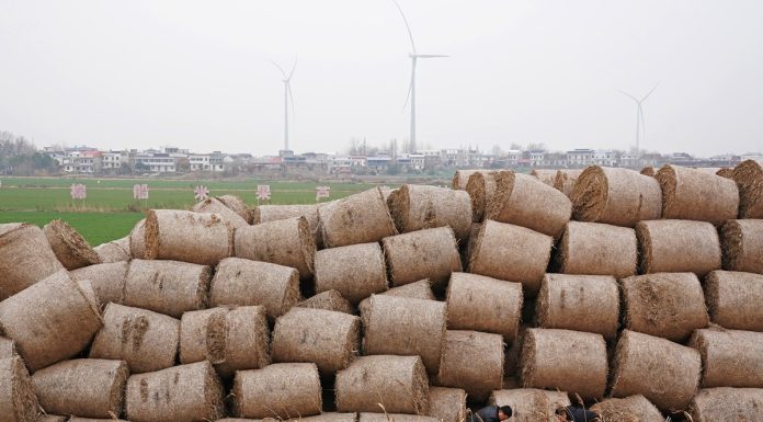 Cina: Mianchuan, l’isola a zero emissioni di carbonio (2)