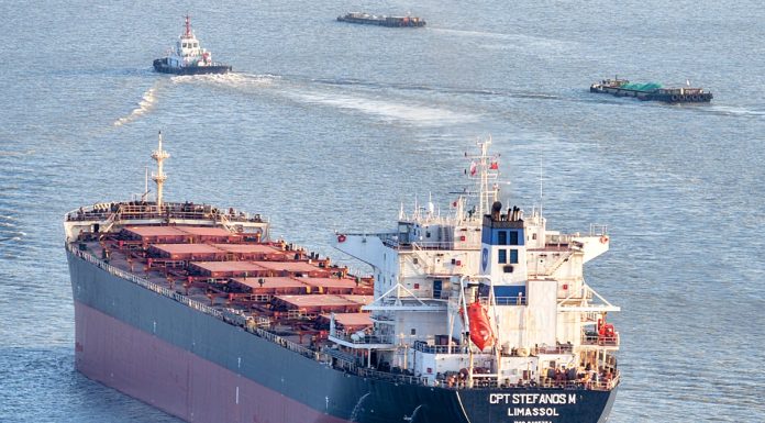 Cina: cantieristica navale leader mondiale per 16esimo anno consecutivo (3)