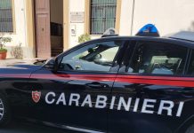 Trapani, rogo distrusse 83 ettari di bosco: arrestato dipendente di una struttura dipartimentale della Regione