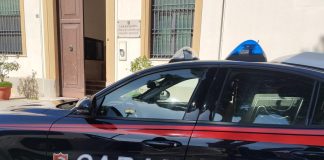 Trapani, rogo distrusse 83 ettari di bosco: arrestato dipendente di una struttura dipartimentale della Regione / Video