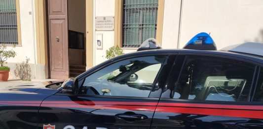 Trapani, rogo distrusse 83 ettari di bosco: arrestato dipendente di una struttura dipartimentale della Regione / Video