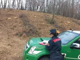 Carabinieri Forestale, 81 mila controlli e 1530 reati nel 2025
