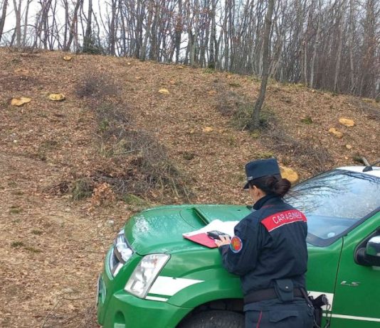 Carabinieri Forestale, 81 mila controlli e 1530 reati nel 2025
