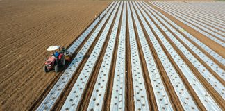 Cina: con il “Lichun” iniziano i lavori agricoli del nuovo anno (1)