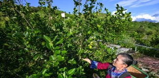 Cina: ridotto il divario di reddito tra aree urbane e rurali