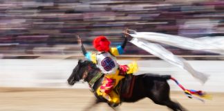 Cina: artisti equestri si esibiscono a Lhasa in occasione del Capodanno tibetano (2)