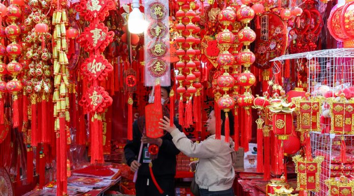 Cina: a Shenzhen apre mercato dei fiori per la Festa di primavera (2)