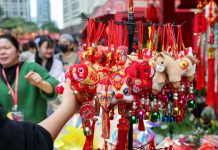 Cina: a Shenzhen apre mercato dei fiori per la Festa di primavera (3)