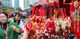 Cina: a Shenzhen apre mercato dei fiori per la Festa di primavera (3)