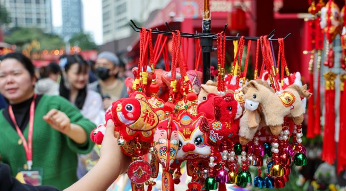 Cina: a Shenzhen apre mercato dei fiori per la Festa di primavera (3)