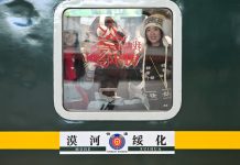 Cina: Festa primavera, 5,08 mld di viaggi interregionali nei primi 20 giorni (3)