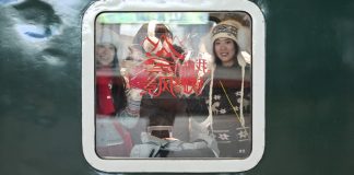 Cina: Festa primavera, 5,08 mld di viaggi interregionali nei primi 20 giorni (3)