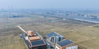 Cina: nel 2025 aumentano terreni agricoli ad alta produttività grazie alla spinta verso la modernizzazione