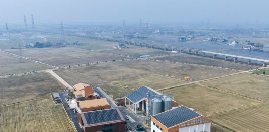 Cina: nel 2025 aumentano terreni agricoli ad alta produttività grazie alla spinta verso la modernizzazione