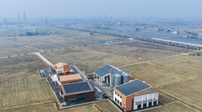 Cina: nel 2025 aumentano terreni agricoli ad alta produttività grazie alla spinta verso la modernizzazione