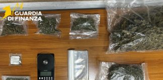 Crotone, in casa nascondeva 1,4 kg di marijuana: arrestato 35enne