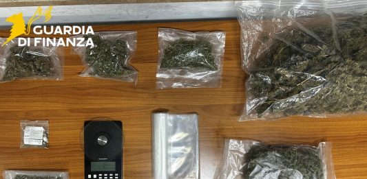 Crotone, in casa nascondeva 1,4 kg di marijuana: arrestato 35enne