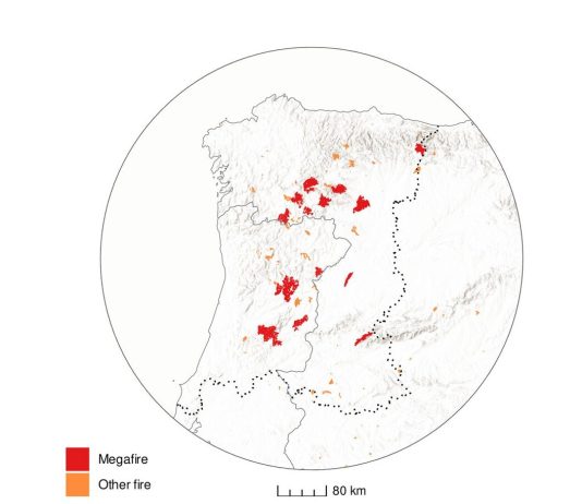 Roghi estremi nell’estate 2025 in Spagna, uno studio rivela i fattori scatenanti