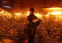 Scoperta a Carini una serra indoor per la produzione di droga, denunciate tre persone