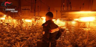 Scoperta a Carini una serra indoor per la produzione di droga, denunciate tre persone