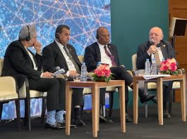 Pichetto “L’energia può diventare un motore per l’integrazione economica tra UE e Nord Africa”