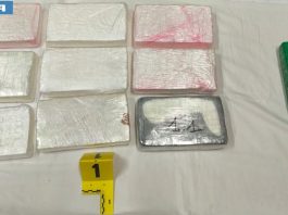 Alessandria, scovati oltre 10 kg di cocaina nel doppio fondo di un’auto sull’A26