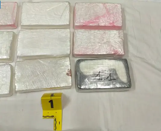 Alessandria, scovati oltre 10 kg di cocaina nel doppio fondo di un’auto sull’A26